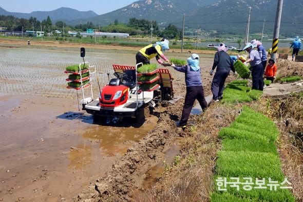 기사 사진