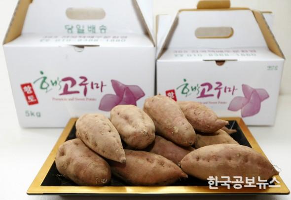기사 사진