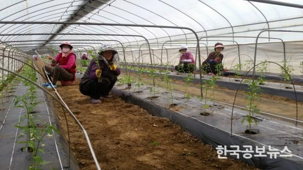 기사 사진