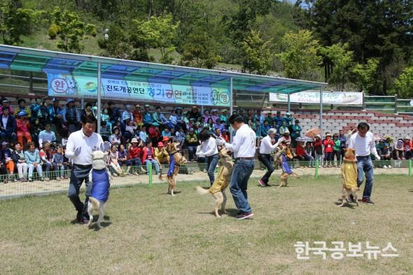 기사 사진