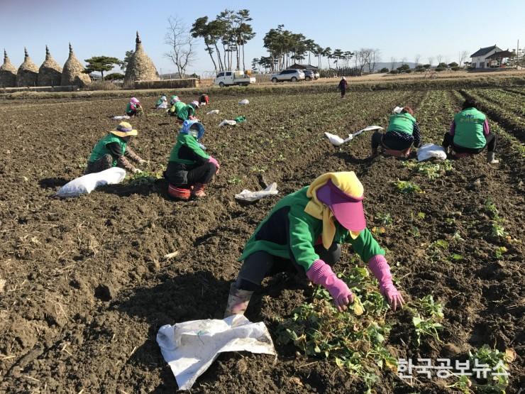 기사 사진