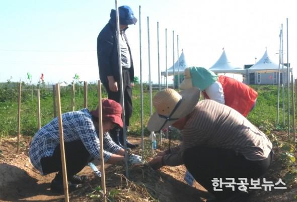 기사 사진