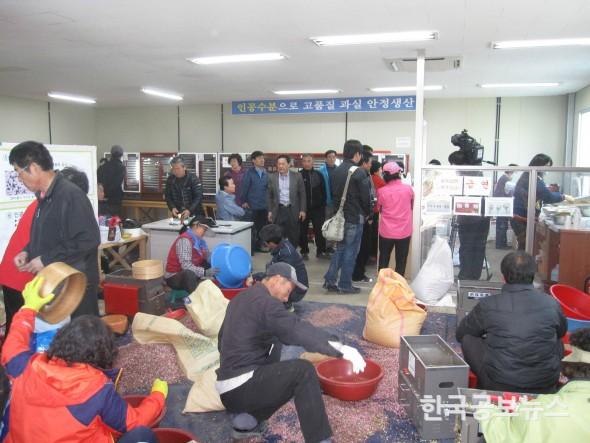 기사 사진