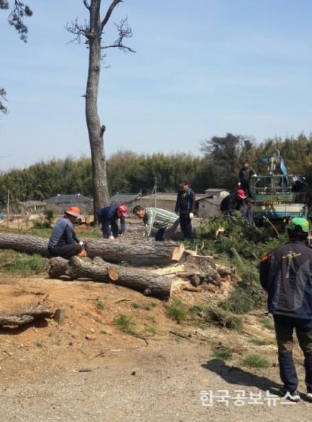 기사 사진