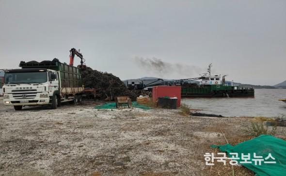 기사 사진