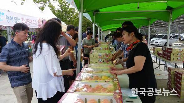 기사 사진