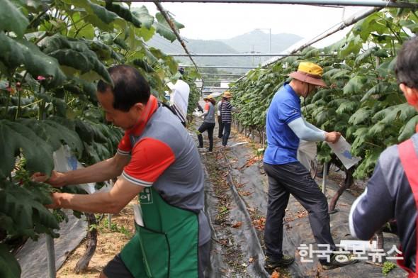 기사 사진