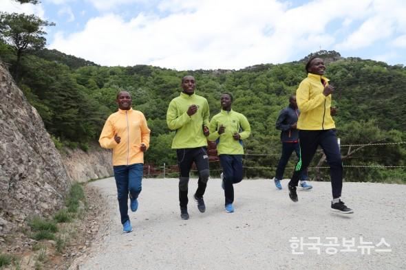 기사 사진