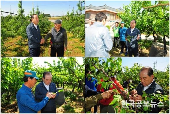 기사 사진