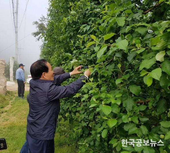 기사 사진