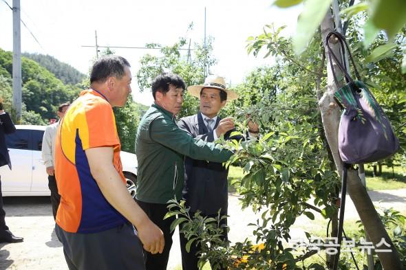기사 사진