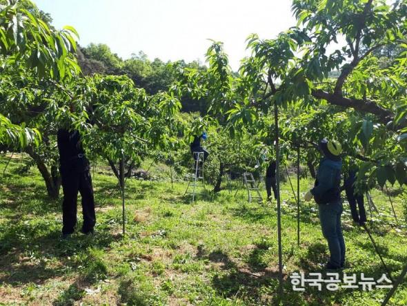 기사 사진