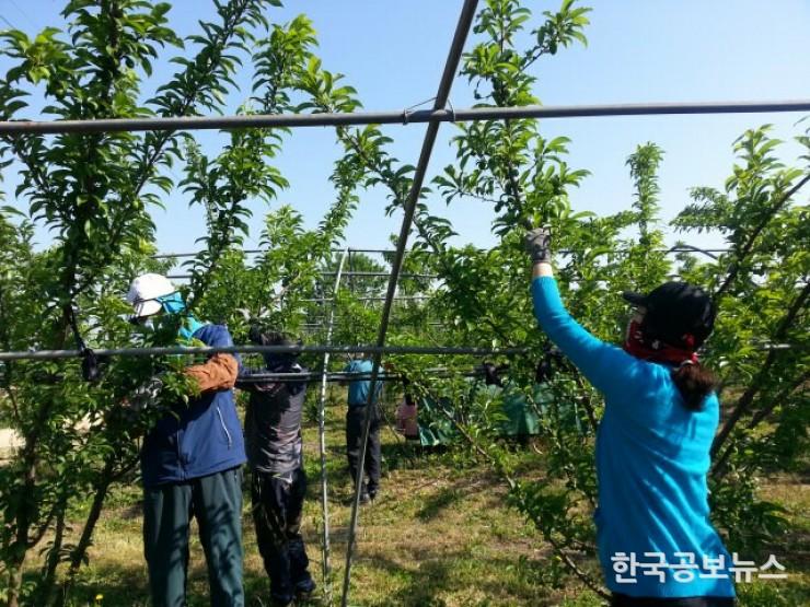기사 사진