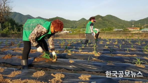 기사 사진