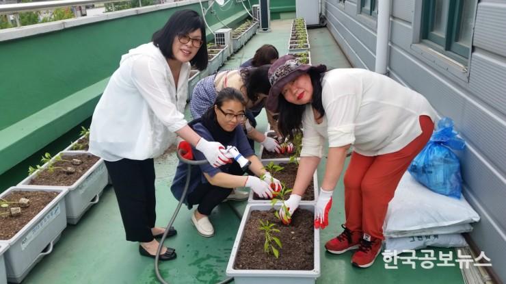 기사 사진