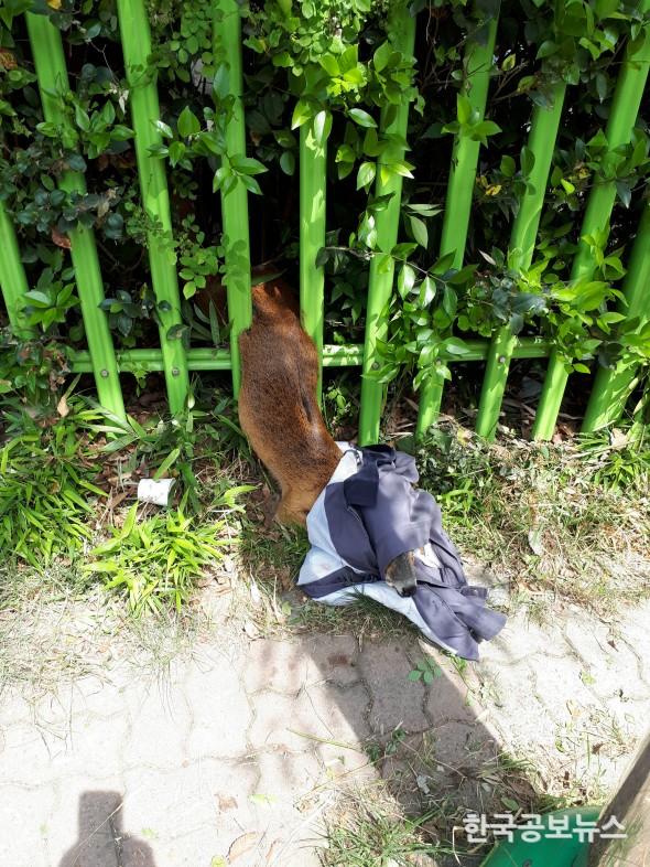 기사 사진