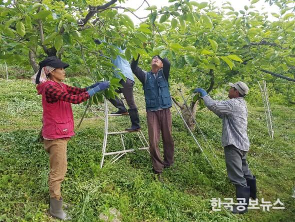 기사 사진
