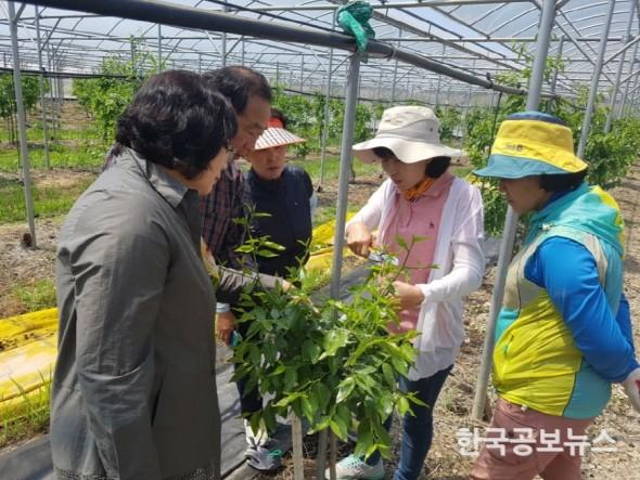 기사 사진