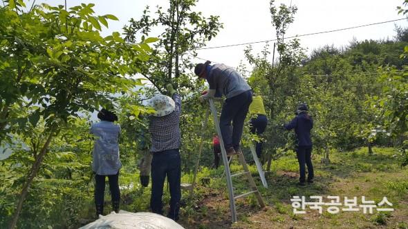 기사 사진