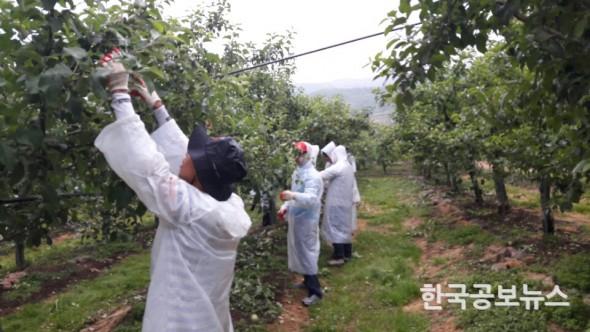기사 사진