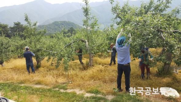 기사 사진