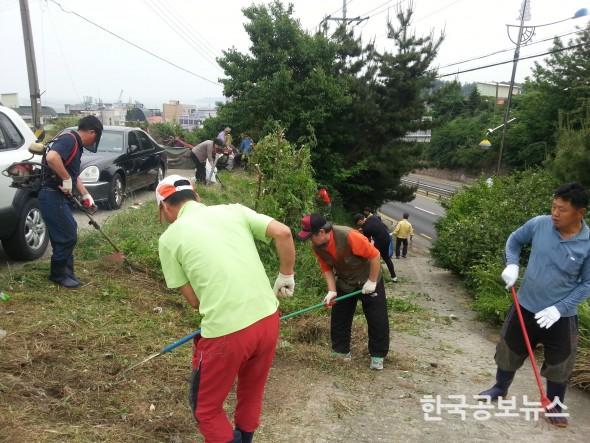 기사 사진