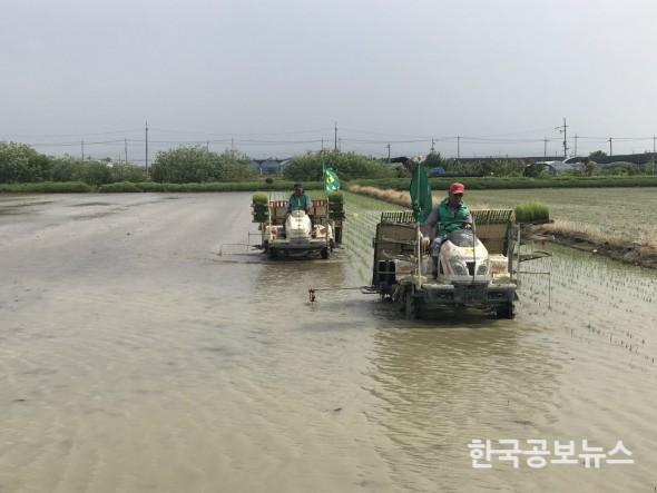 기사 사진