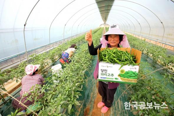기사 사진