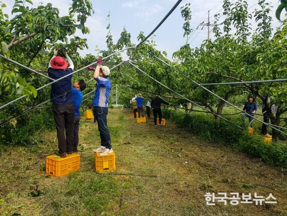 기사 사진