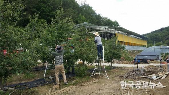 기사 사진