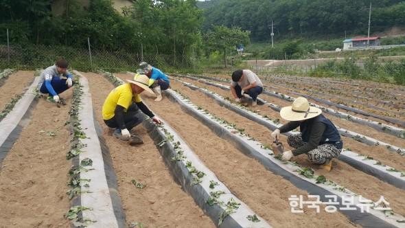 기사 사진