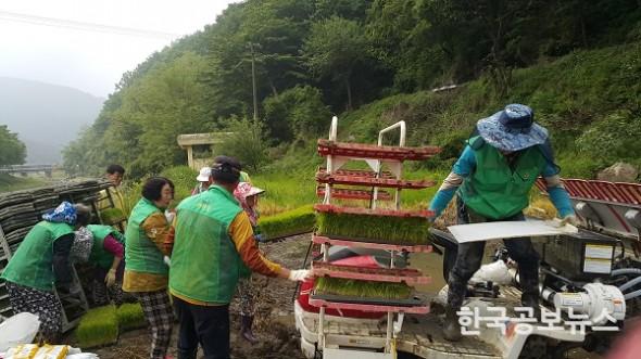 기사 사진