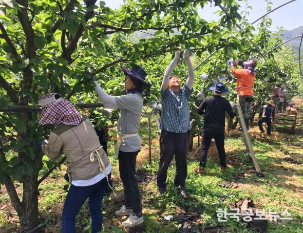 기사 사진
