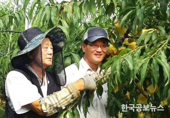 기사 사진