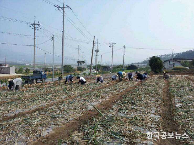 기사 사진