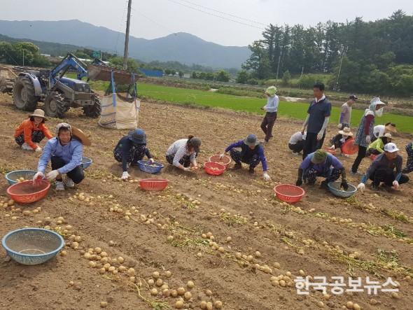 기사 사진