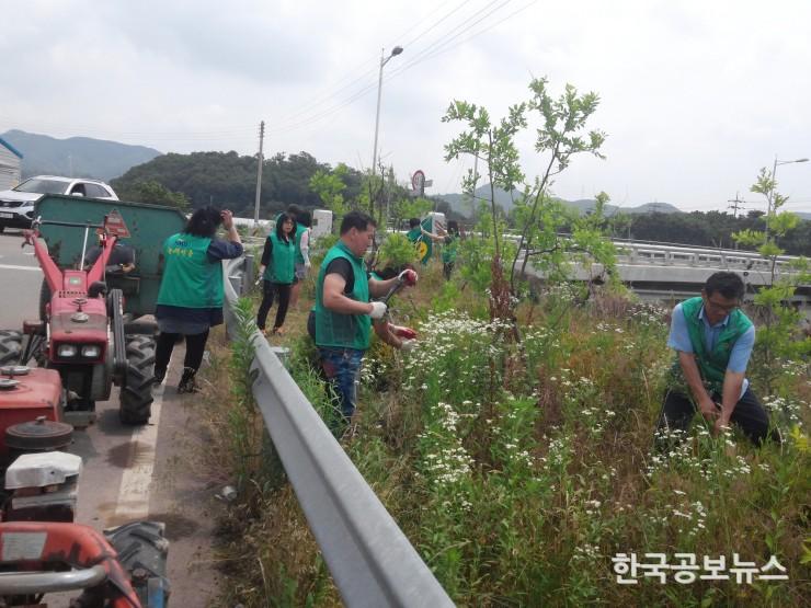 기사 사진
