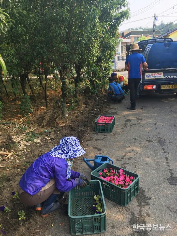 기사 사진