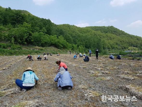 기사 사진