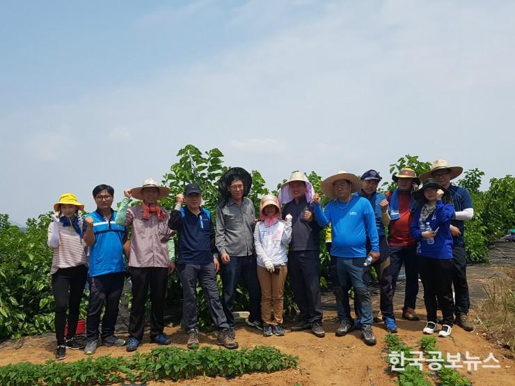 기사 사진