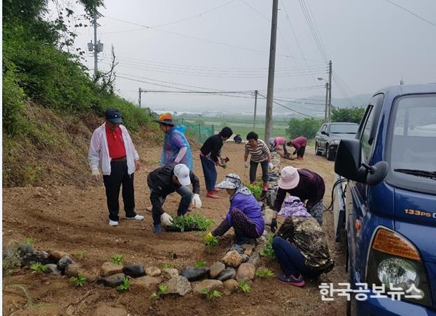 기사 사진