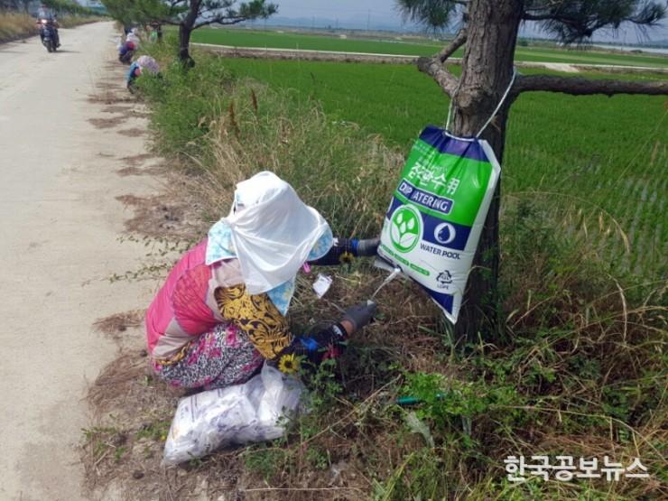 기사 사진