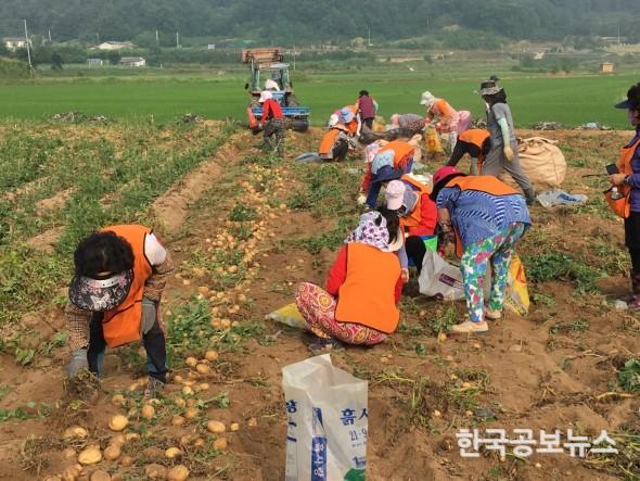 기사 사진