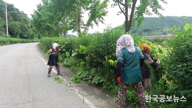 기사 사진