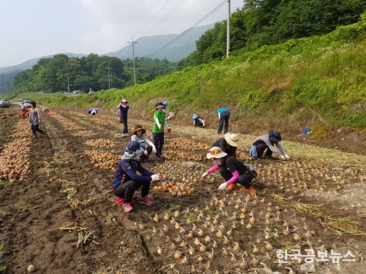 기사 사진