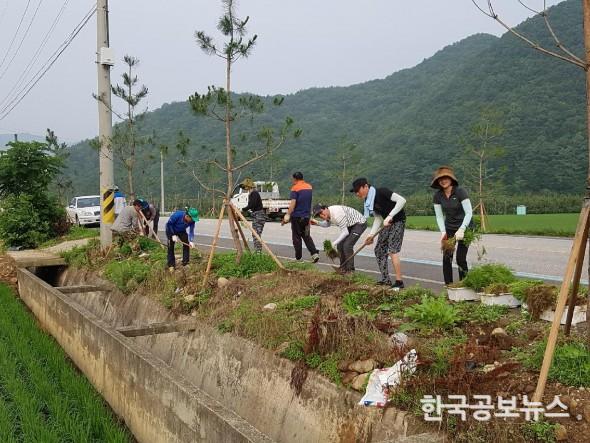 기사 사진