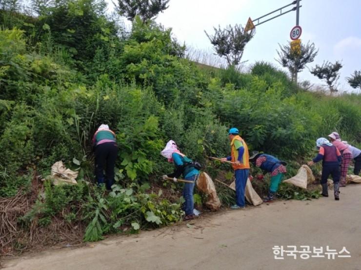 기사 사진