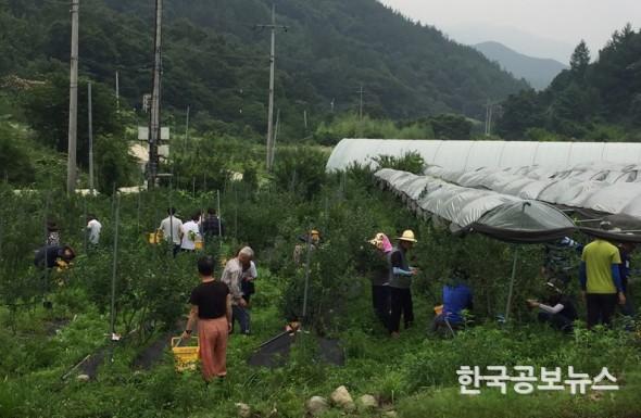 기사 사진