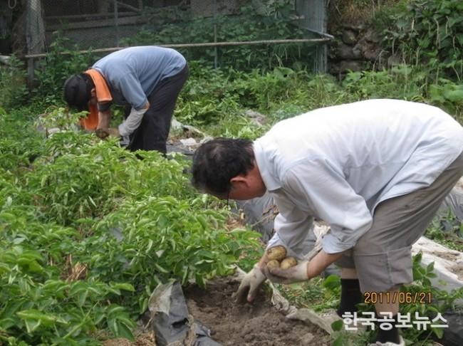 기사 사진