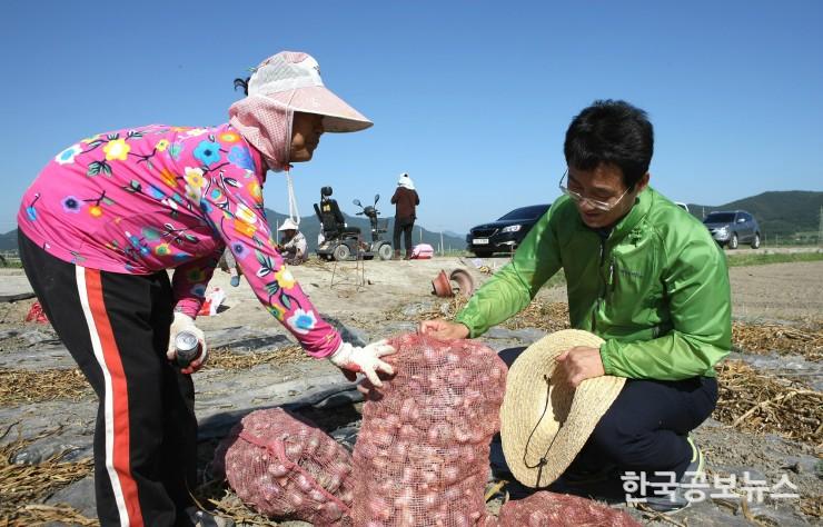 기사 사진
